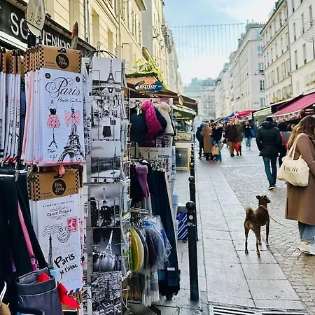 Magnifique Tour Eiffel / Rue Cler Apartment Paris